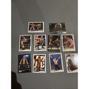Lot of 10 2014 Topps WWE NXT Inserts & Nxt Cards Included Rock Austin Rusev NXT